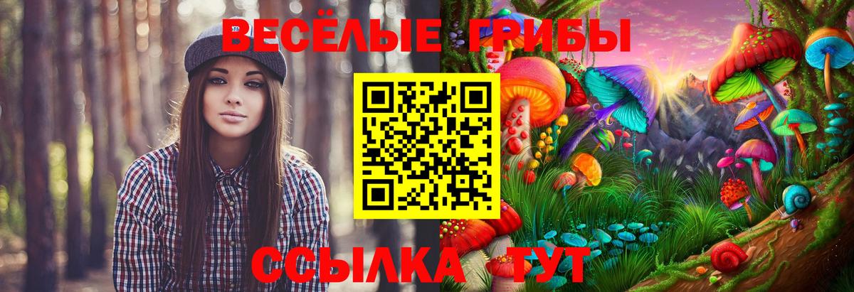 Псилоцибиновые грибы GOLDEN TEACHER  купить   Пыть-Ях  Вход с VPN 